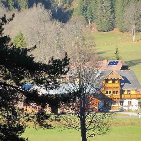 Obergrabnerhof Apartment Ramsau am Dachstein Exterior photo